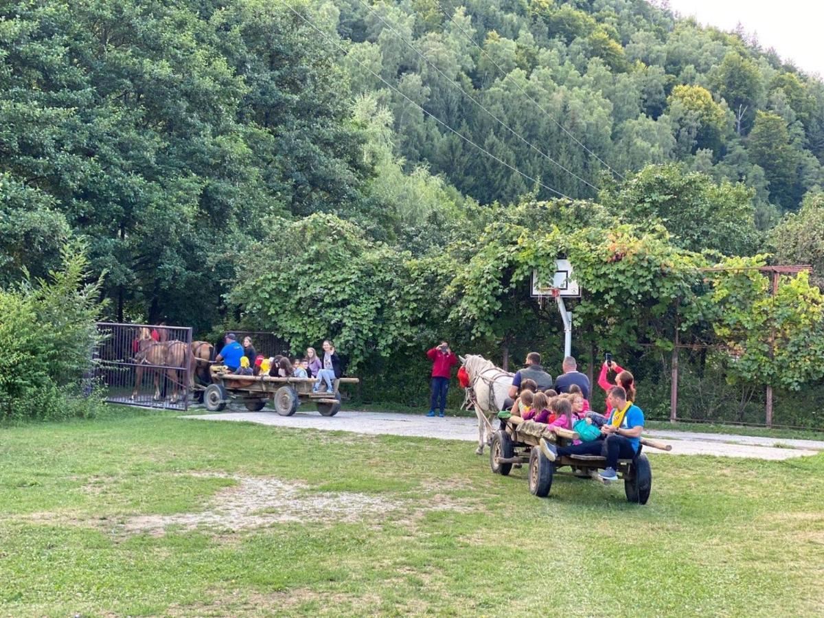 Pensiunea Amada Leresti Bagian luar foto