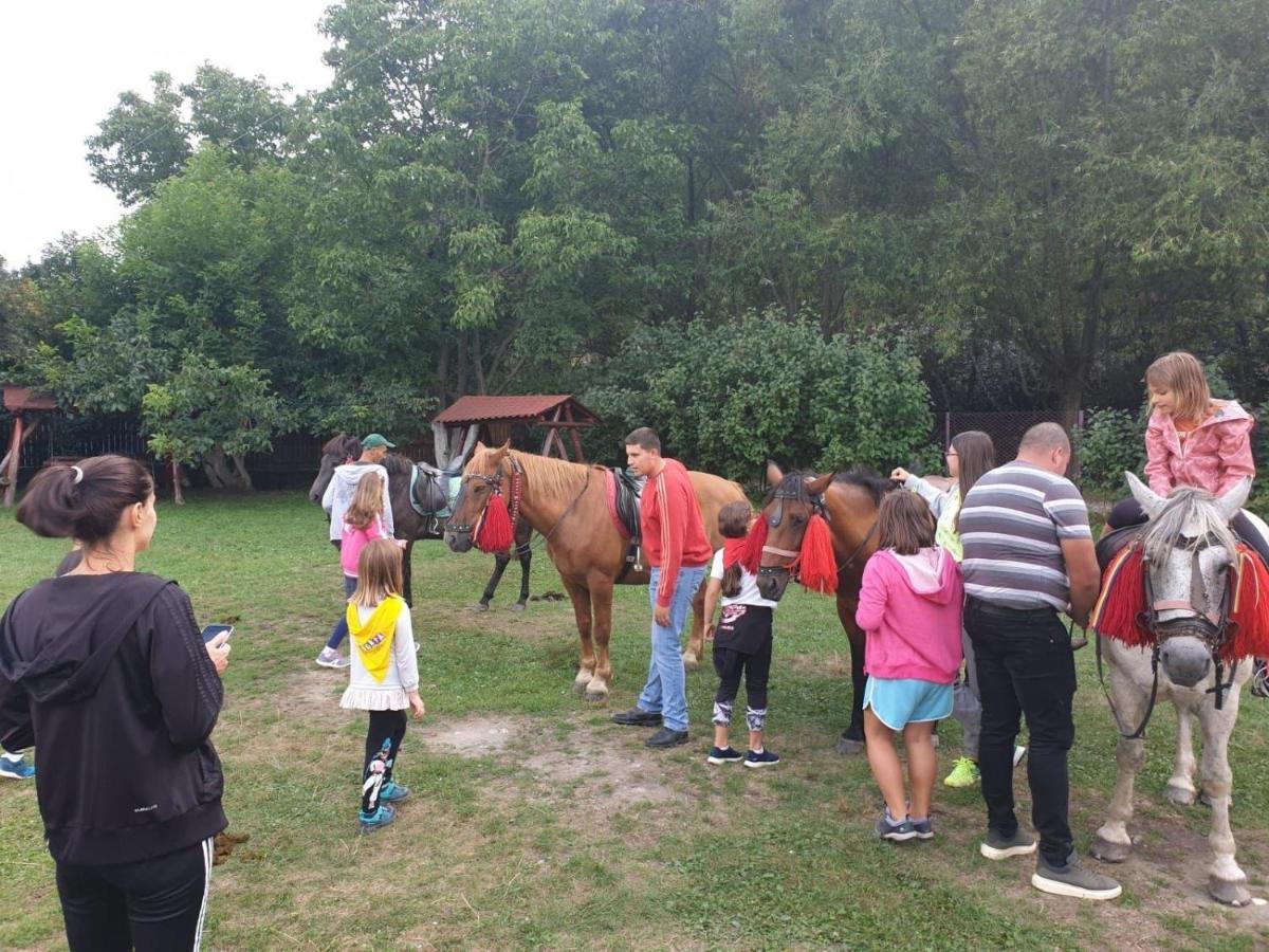 Pensiunea Amada Leresti Bagian luar foto